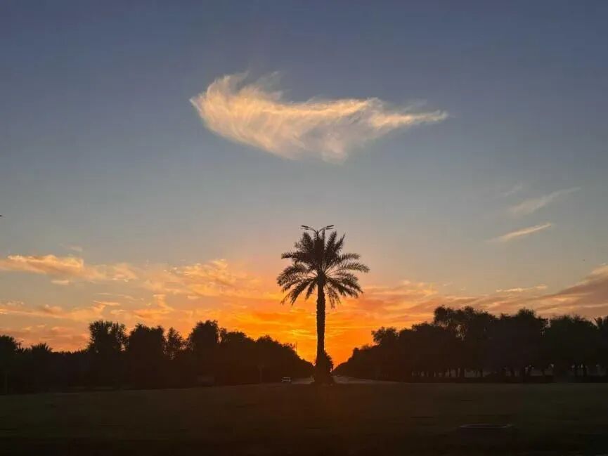 【中东留学】在阿联酋留学，一个月5000人民币够用吗？我用账单告诉你真实答案