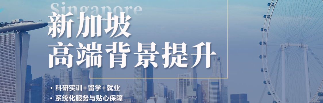  狮城公立大学“高冷”，私立学院“灵活”：你的背景适合哪条赛道？