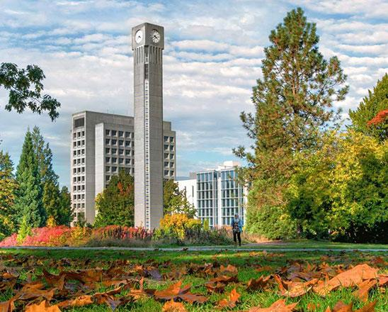 UBC研究生专业：选对了是上岸，选错了是…上“山”（指每天要爬山）