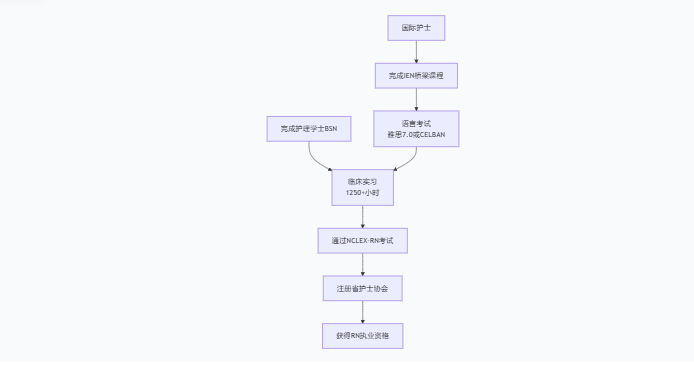 加拿大热门专业选择与职业发展指南