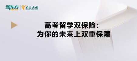 高考留学双保险：为你的未来上双重保障