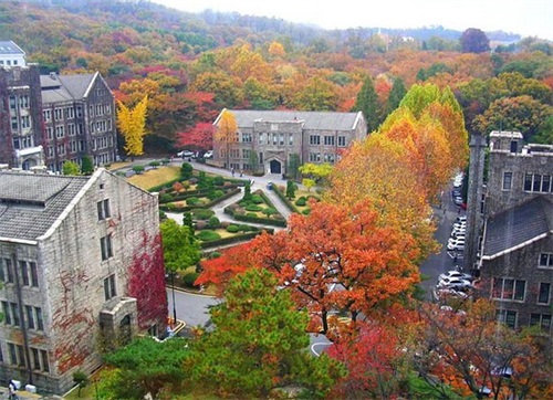 延世大学.jpeg