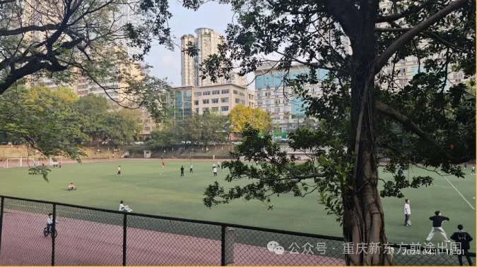 新学期新选择！新东方新南预科落地重师，在重庆读世界第 19 名校预科！