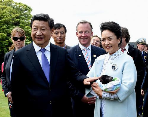 习大大和彭妈妈都对澳洲进行了国事访问