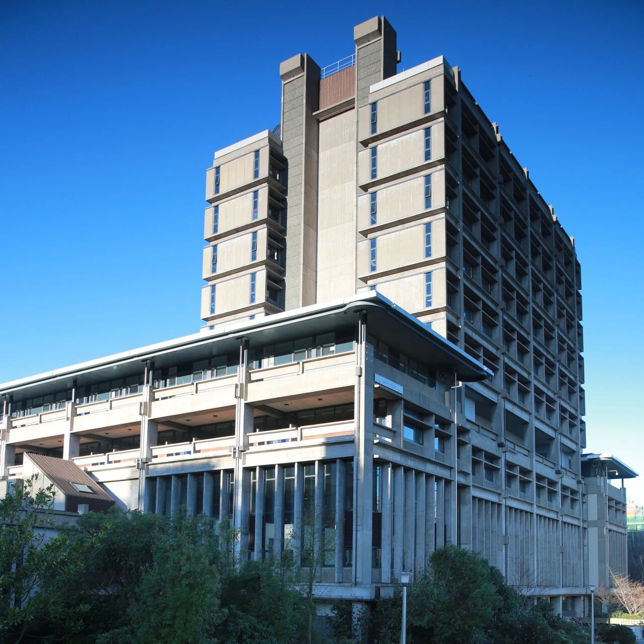 高录取率！留学就业无缝衔接的黄金通道