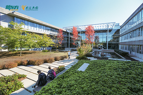 【沈阳留学】加拿大留学预科详解：申请条件与流程解析