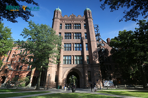 普高申美本“没优势”？新东方预科直接对标TOP30学术线！