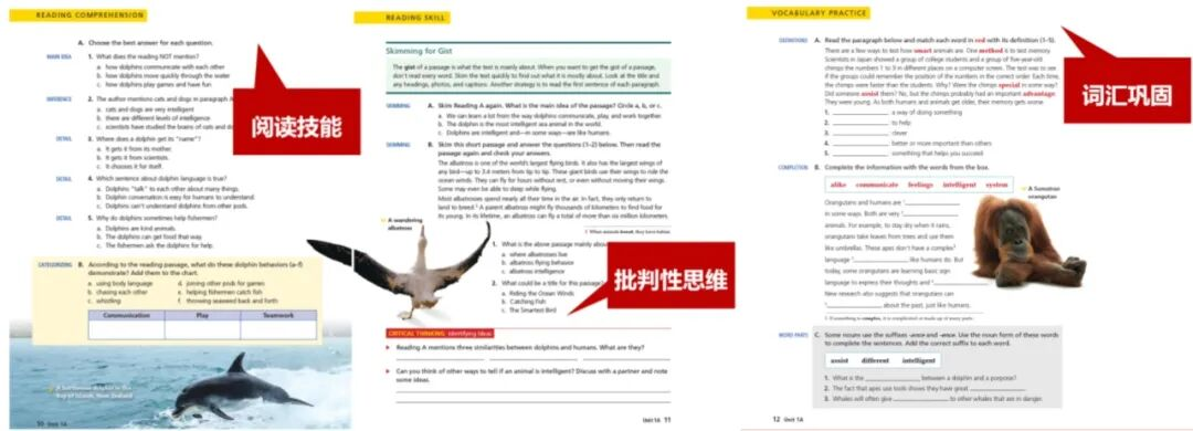 Think、Unlock、RE原版教材怎么选？新东方Global You有何优势？