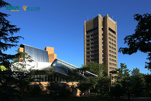 文科生的春天：在美国，文科专业有哪些意想不到的就业出路？