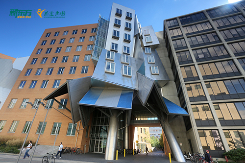 留美“学术卓越契约”：大学签协议，国际生成了“敏感词”？