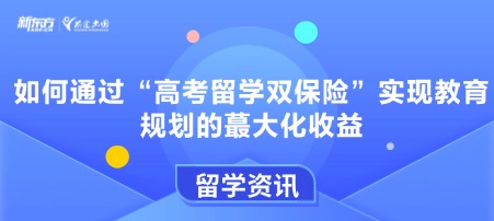 如何通过“高考留学双保险”实现教育规划的蕞大化收益