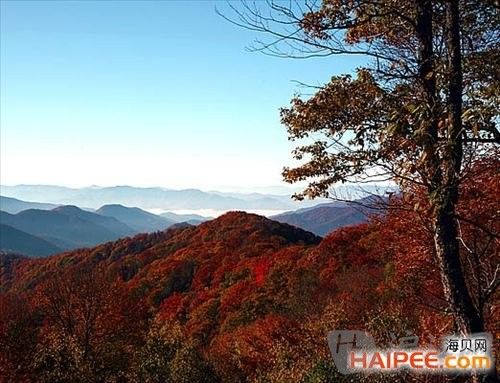 9、大雾山国家公园(北卡罗来纳州/田纳西州)