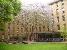 新南威尔士大学