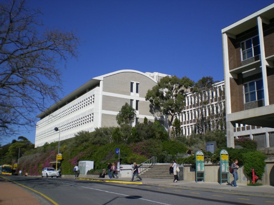 弗林德斯大学