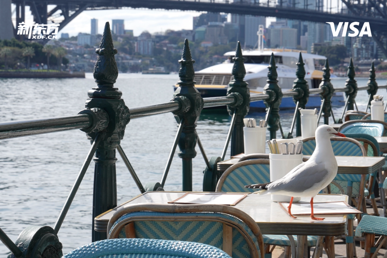 澳大利亚三所名校，三十年时光流转，留学路更向通途