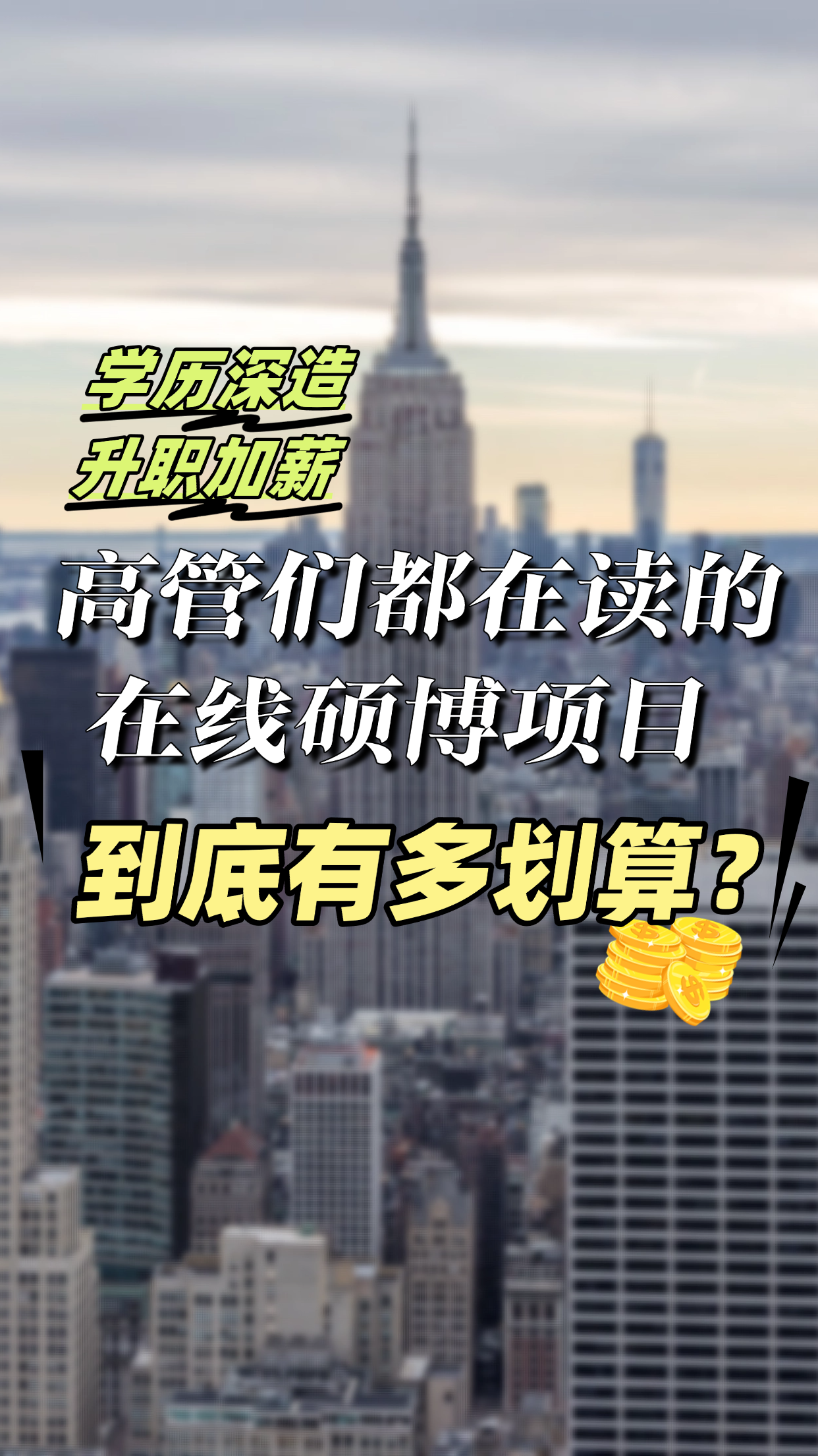 美研在线硕博项目