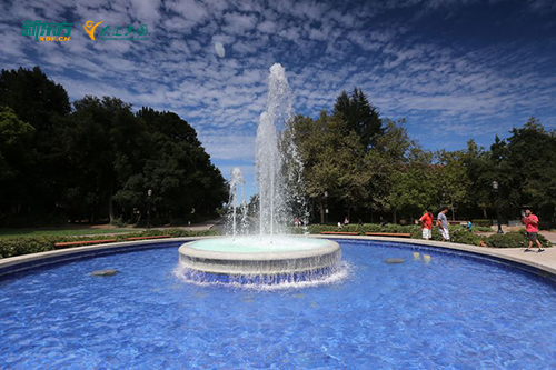 美国二硕“身份保鲜术”失效？新规堵死“平级跳”和“往下走”