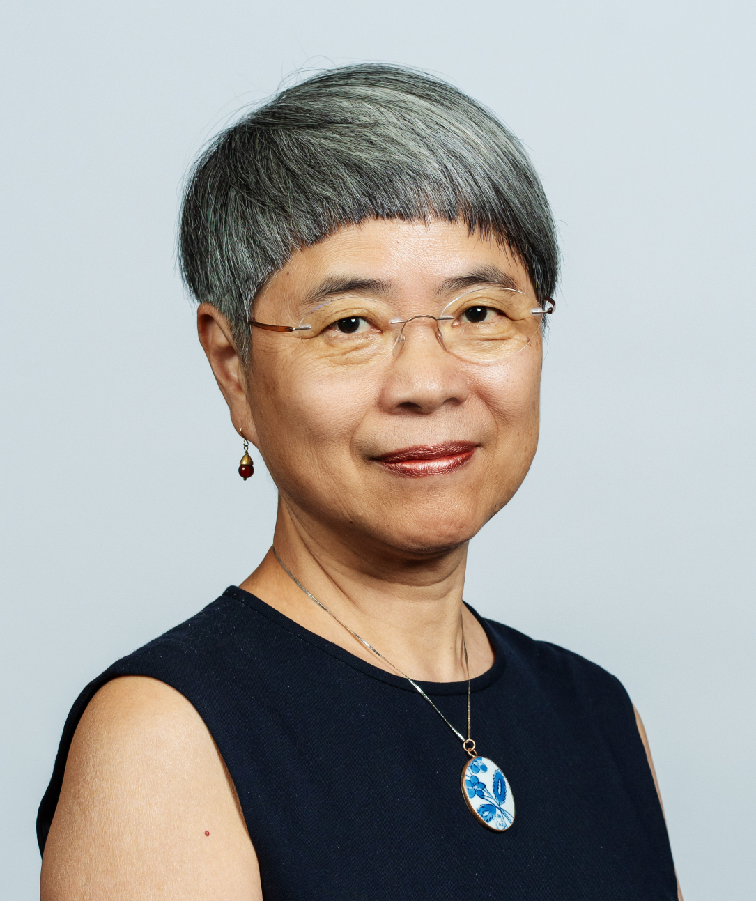 Professor Zhu Xiaoshu