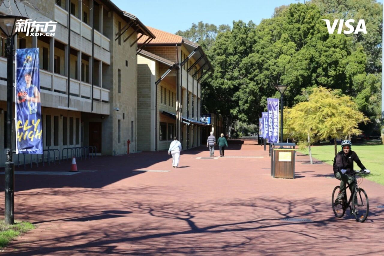 教育之旅丨探寻黑天鹅的发源地，西澳这座城市藏着太多留学惊喜！