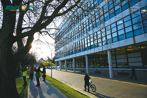 新西兰本科留学一年到底要花多少钱？2026最新费用清单出炉