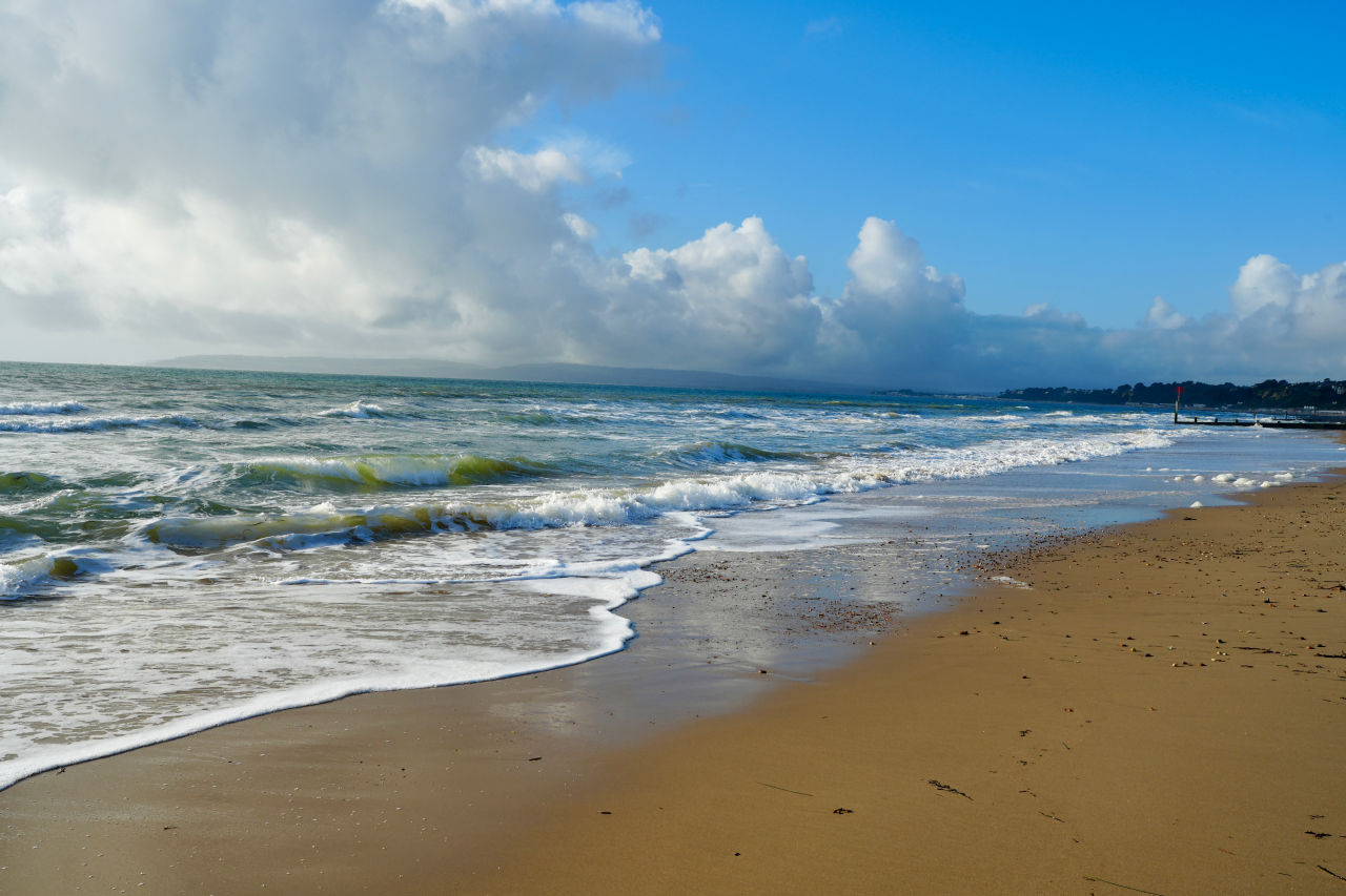 郁金香计划艺术系列体验官手记｜艺术校园与金色海岸间，寻一场英伦旧梦