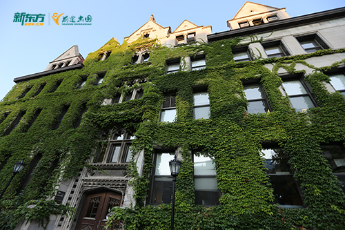 数据参考：2024/25美国中国留学生26.5万，2026申请趋势预判