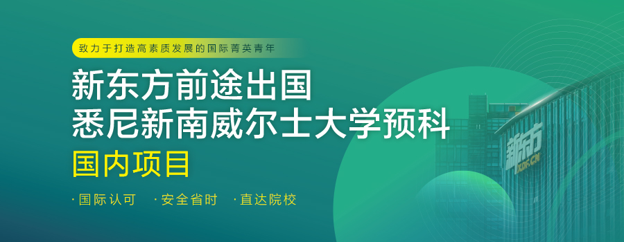 新南威尔士大学