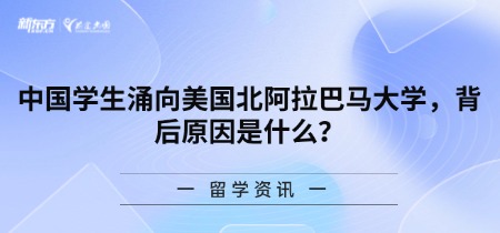 中国学生涌向美国北阿拉巴马大学，背后原因是什么？