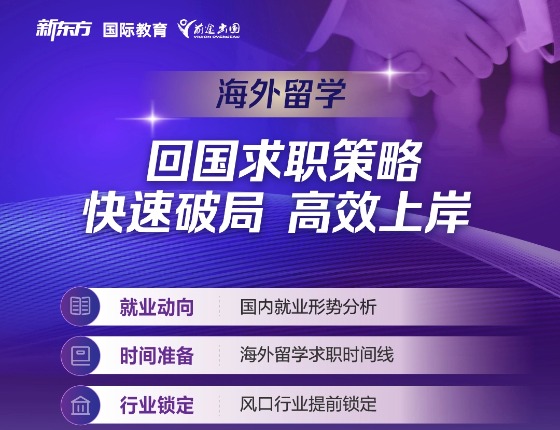 回国求职策略