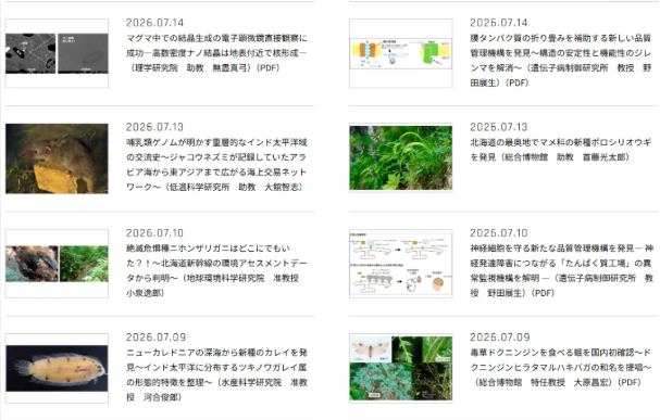 排名飙升！这所日本“旧帝大”凭什么冲进THE世界影响力前十？