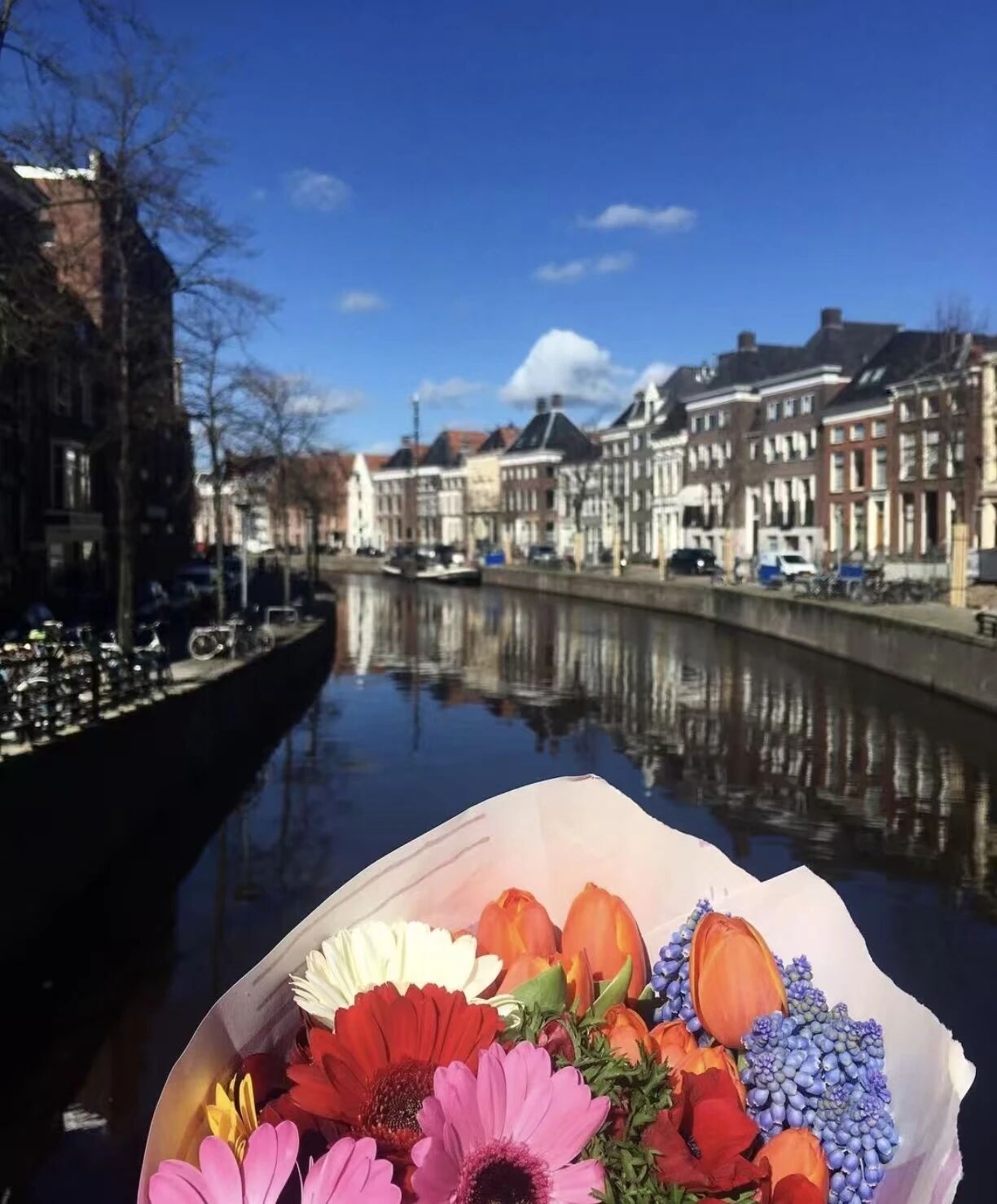 深化合作，赋能未来——格罗宁根大学到访新东方，共拓留学新蓝海