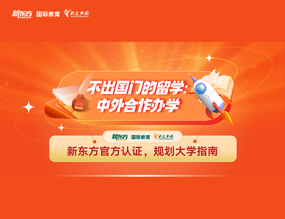 不出国门的留学：中外合作办学