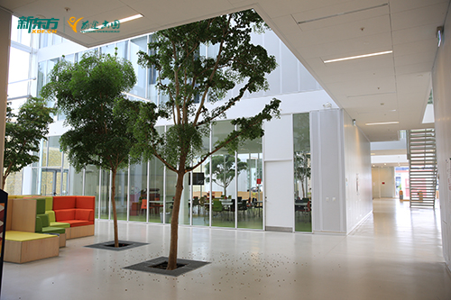 留学不知道去哪？来看看这些榜单