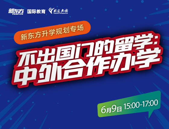 不出国门的留学：中外合作办学