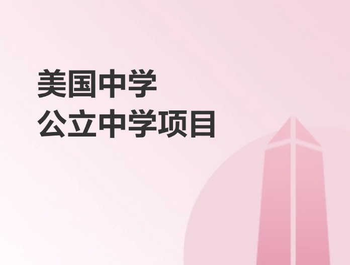 美国中学公立项目