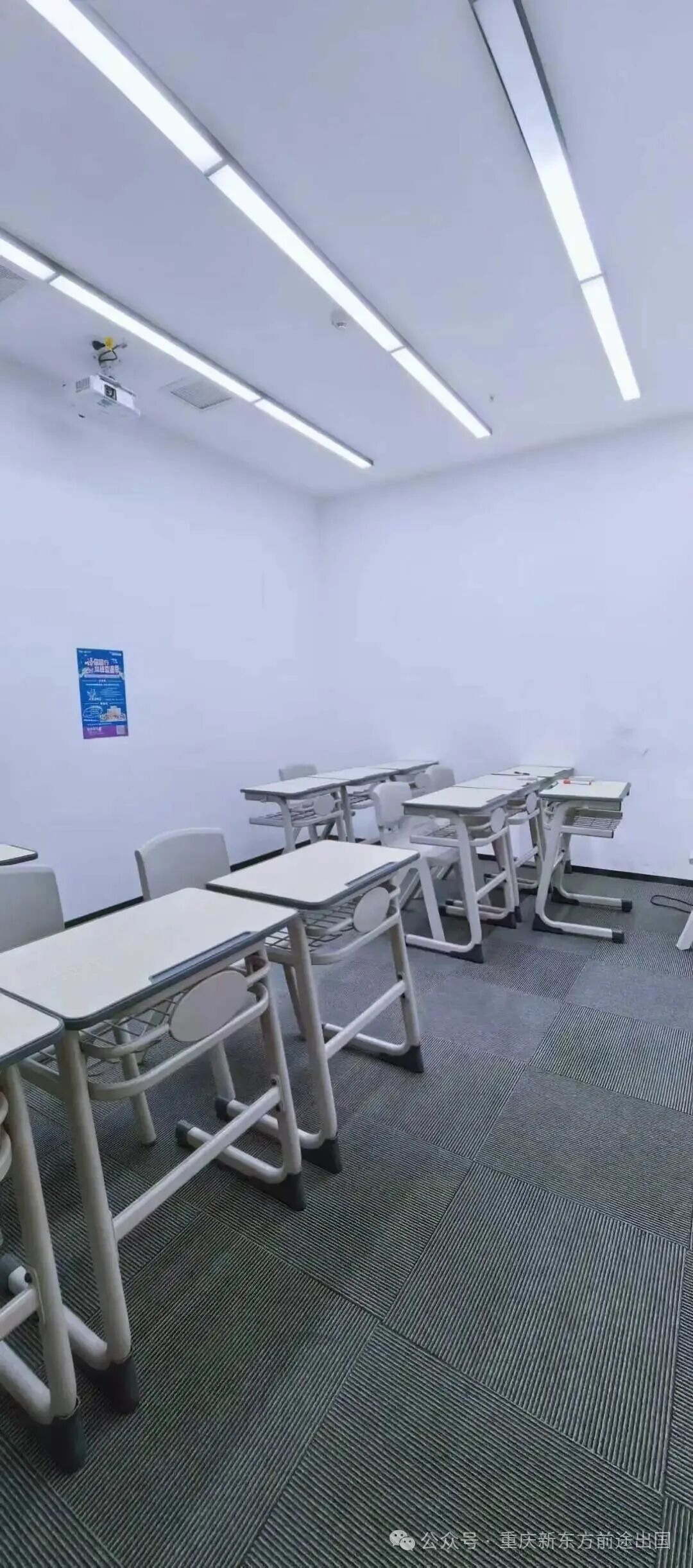 重庆新东方小语种秋季班开班啦！