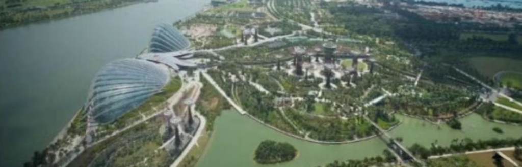 一个残酷真相：不读这半年，你根本没资格在新加坡读本科！