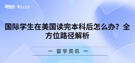 国际学生在美国读完本科后怎么办？全方位路径解析
