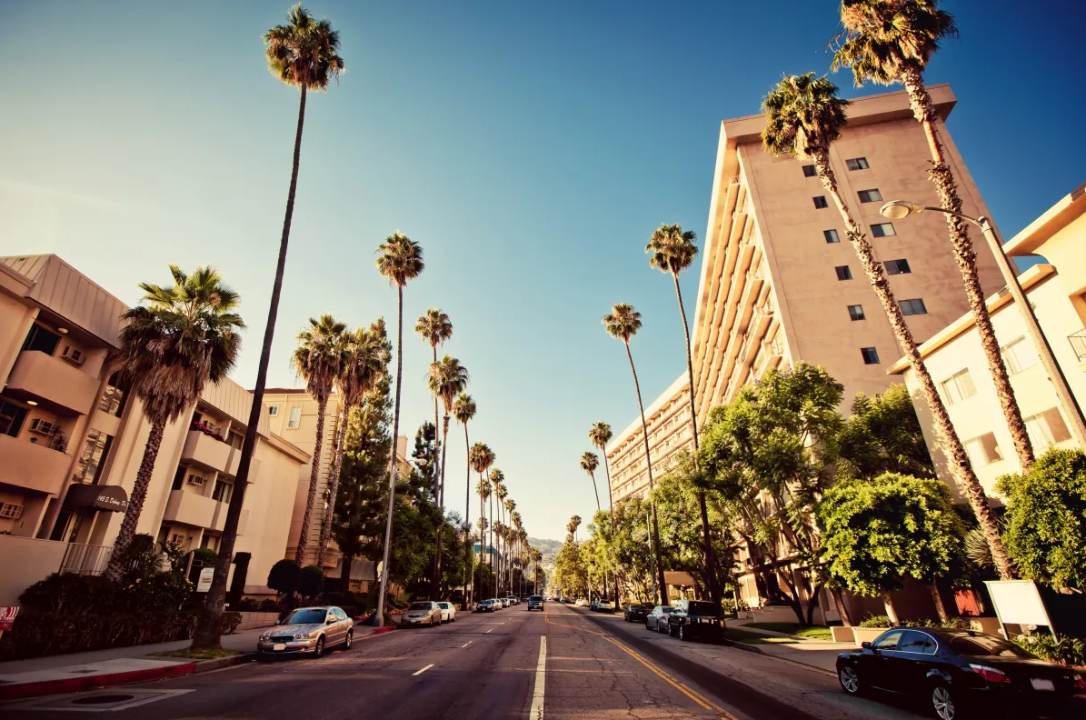 绝了！这10所美国公立大学平均就业率高达90%！