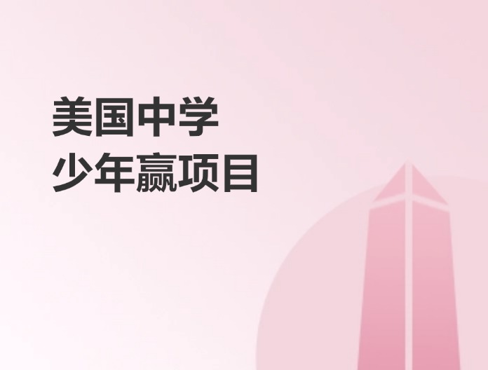 美国中学少年赢项目
