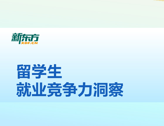 留学生就业竞争力洞察