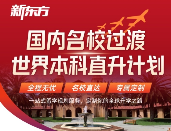 国内名校过渡世界本科直升计划