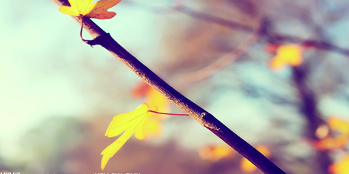 新加坡留学基本就业制度如何规定