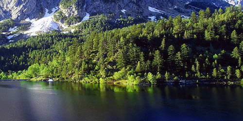 高中生留学西班牙的方案都是什么