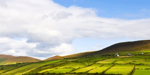 爱尔兰留学教育体系的特点是什么