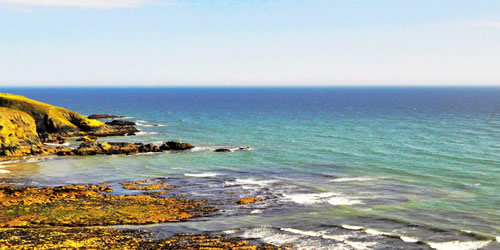 爱尔兰留学生活中的特色饮食介绍