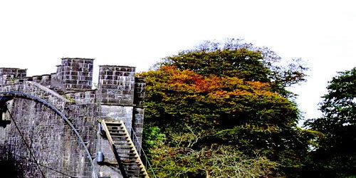 爱尔兰留学生就业实习应该怎么做