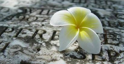 新西兰留学签证基础常识