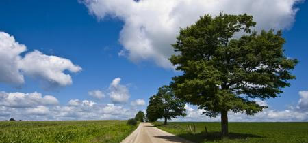 加拿大留学生打工在校内好还是校外好