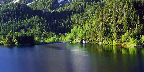 新加坡名校留学本科费用是多少